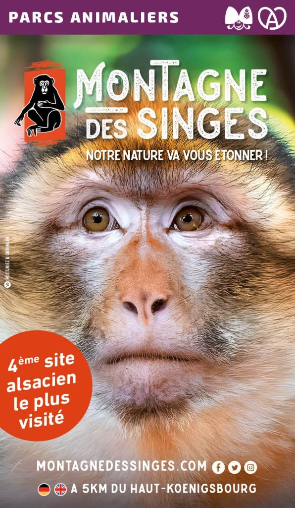 Montagne des Singes Alsace